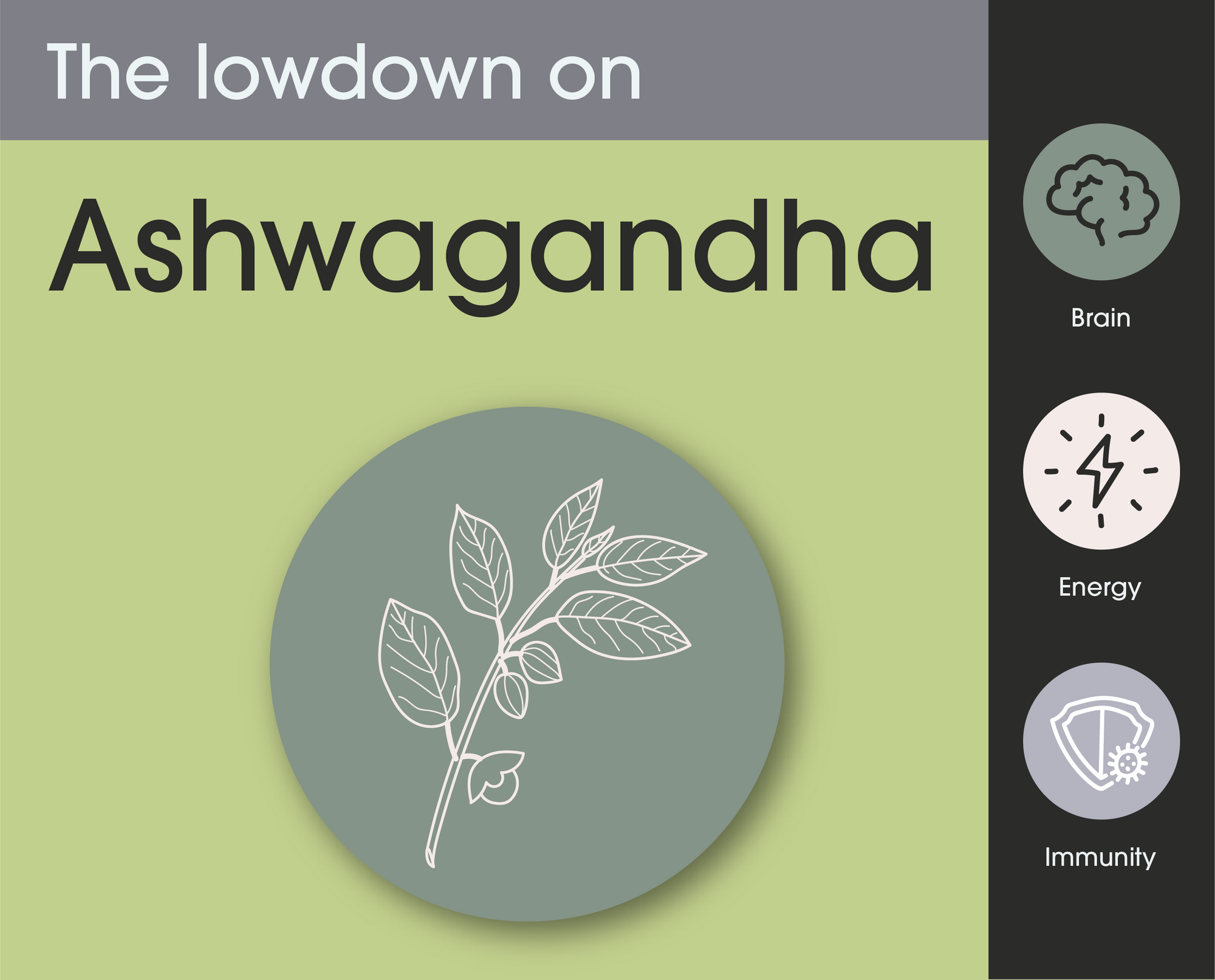 The lowdown on Ashwagandha